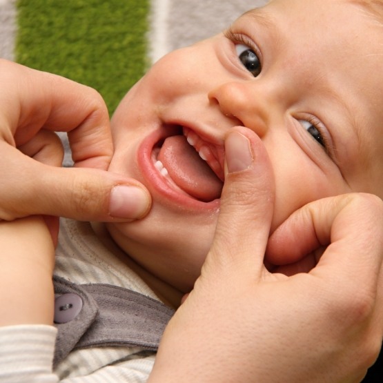 Pulling up child's lip to show baby teeth