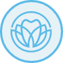 Shroff Dental Arts logo