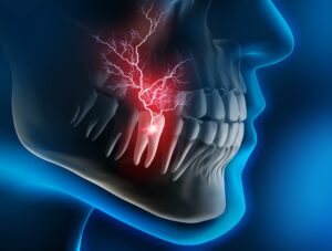 Model showing an infected tooth